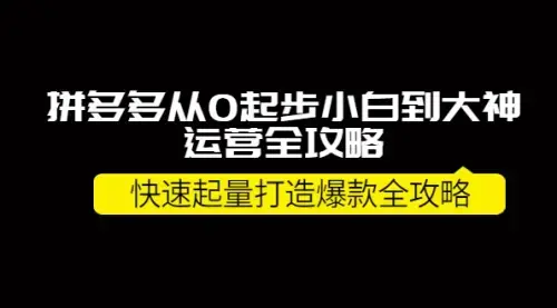 拼多多从0起步小白到大神运营全攻略，快速起量打造10W+爆款全攻略！_知客圈