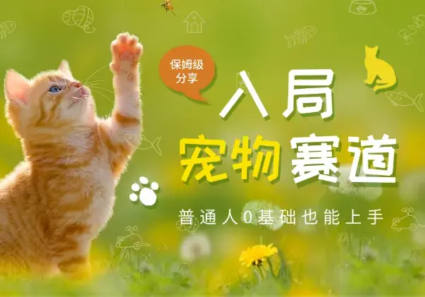 普通人入局宠物赛道，0基础也能上手的保姆级分享_知客圈