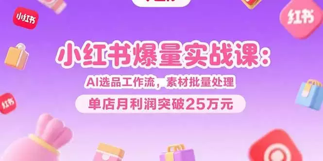 小红书爆量实战课：AI选品工作流，素材批量处理，单店月利润突破25万元_知客圈