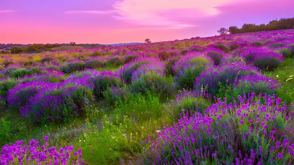 哪个项目最容易赚钱？_知客圈