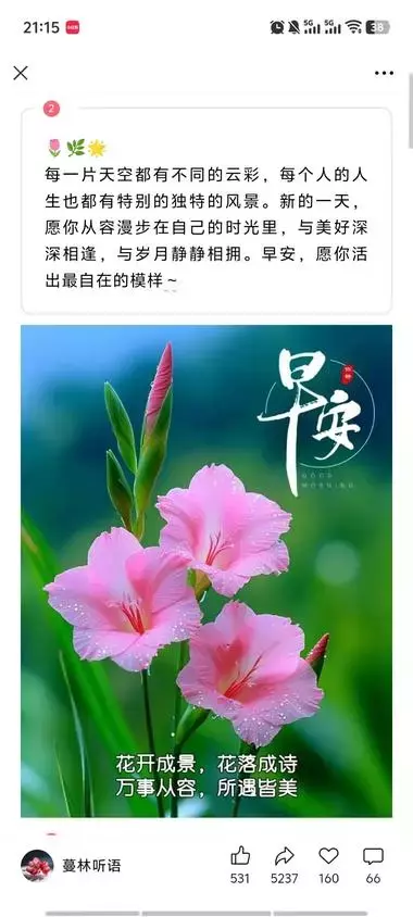 图片[6]_公众号写“老年祝福赛道”，篇篇爆款，流量主撸到手软_风向标创圈_知客圈