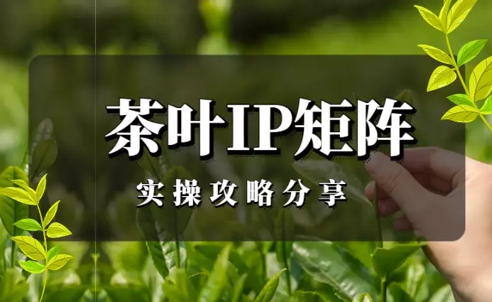 1个月内快速布局！做了30个小红书茶叶茶人IP矩阵号的实操攻略分享【图文】_知客圈