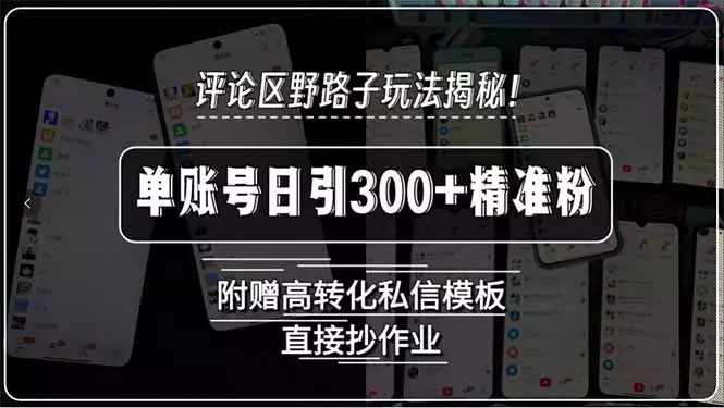 评论区野路子截流玩法揭秘！单账号日引300+精准粉_知客圈