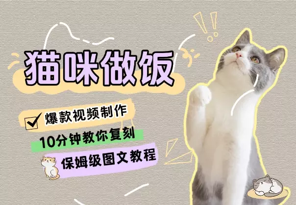 10分钟教你复刻爆款猫咪做饭视频（保姆级图文教程）_知客圈