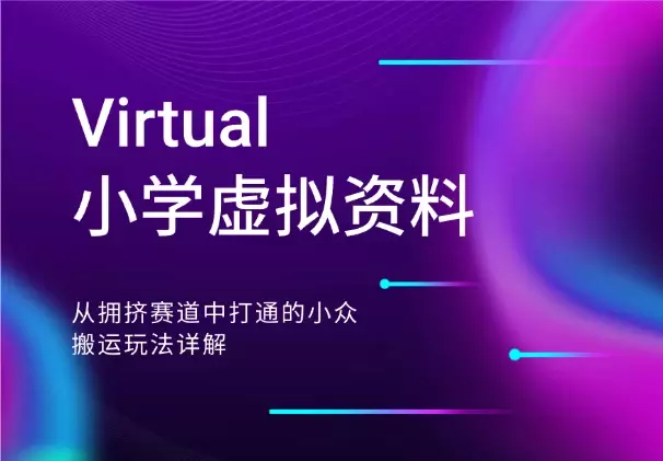 小学虚拟资料，从拥挤赛道中打通的小众搬运玩法详解_知客圈