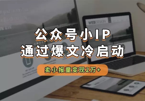 公众号小IP如何通过爆文冷启动，卖小报童，变现2万+_知客圈