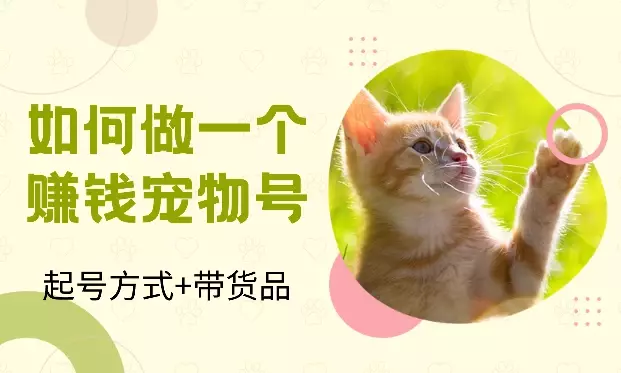 一文教你如何快速起号并做出一个赚钱的宠物号【图文】_知客圈